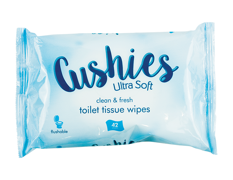 Classic Toilet Wipes - 42 Pack